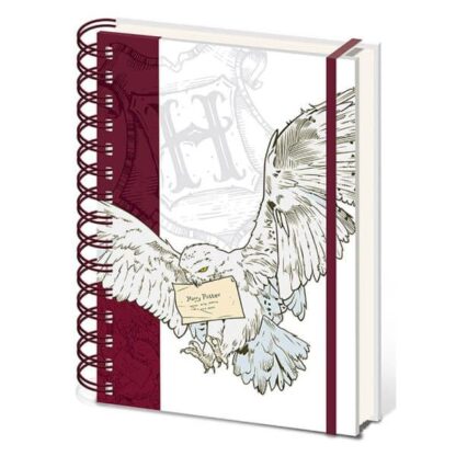 Harry Potter Notitieboek Special Delivery