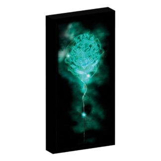 Harry Potter Canvas Poster Met Licht